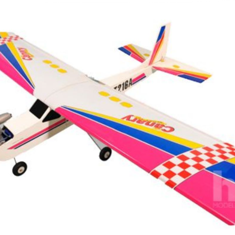 Aeromodelo Treinador Canary com Radio, Motor e Servos